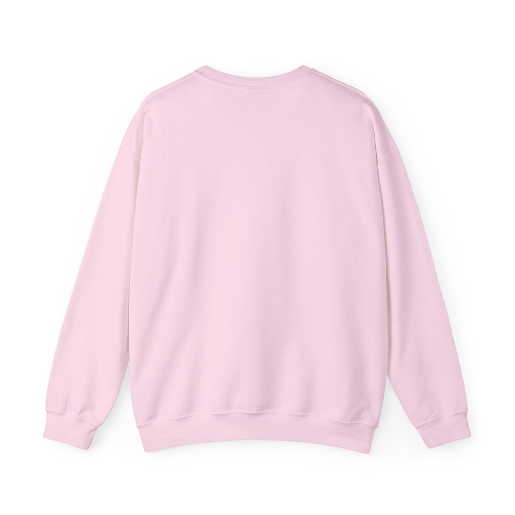 Komplex Minds Pink Pullover